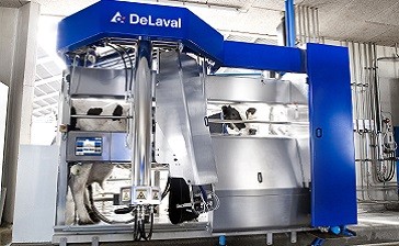 Dairy Farm Management